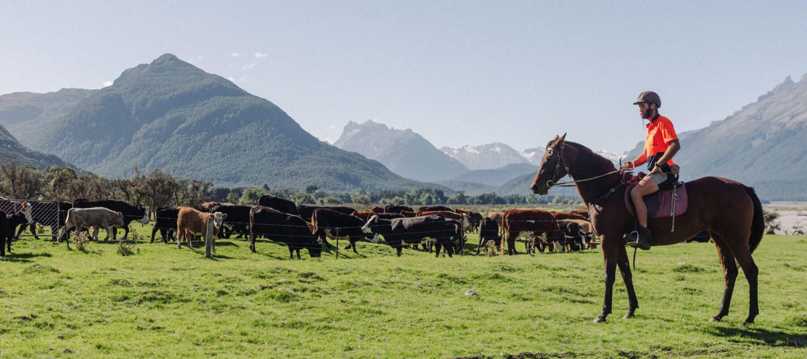 Man on a horse on the farm